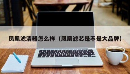 凤凰滤清器怎么样（凤凰滤芯是不是大品牌）