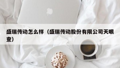 盛瑞传动怎么样（盛瑞传动股份有限公司天眼查）