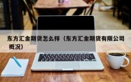 东方汇金期货怎么样（东方汇金期货有限公司 概况）