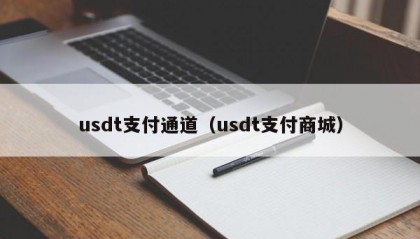 usdt支付通道（usdt支付商城）